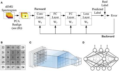 Self-Recalibrating Surface EMG Pattern Recognition for Neuroprosthesis Control Based on Convolutional Neural Network